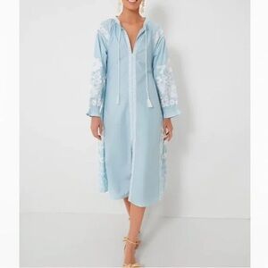 Julia Amory Elegant Blue Embroidered Dress